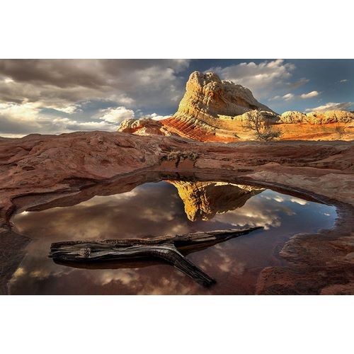 A log in a pool reflect white pockets area in northern Arizona